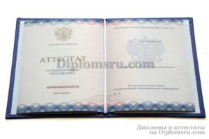 купить аттестат в Воронеже